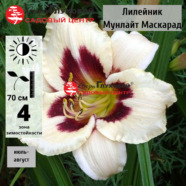 Лилейник Мунлайт Маскарад